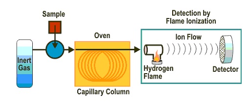 Gas%20chromatography%20(GC)%20Flame%20Ionization%20Detector%20Principle