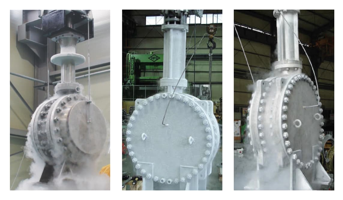 Butterfly valve in Cryogenic LNG Application